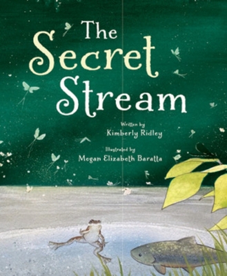 The Secret Stream book