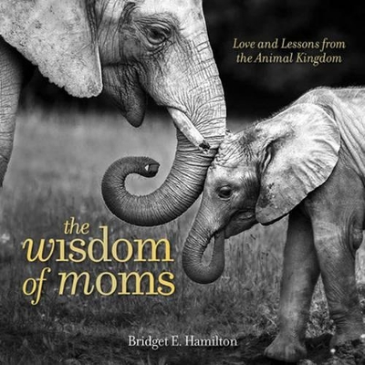Wisdom of Moms book