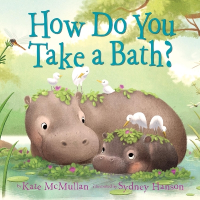 How Do You Take a Bath? book