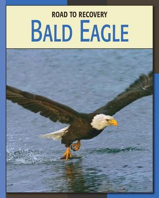 Bald Eagle book