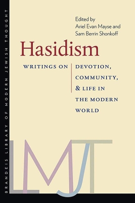 Hasidism – Writings on Devotion, Community, and Life in the Modern World book