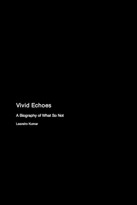 Vivid Echoes: A Biography of What So Not book