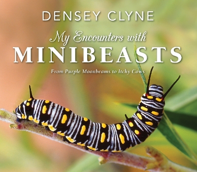 My Encounters with Minibeasts book