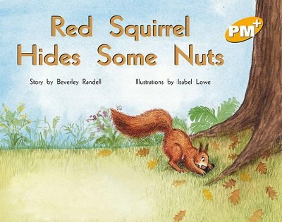 Red Squirrel Hides Some Nuts book