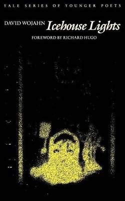 Icehouse Lights book