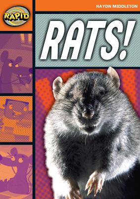 Rapid Stage 4 Set B: Rats! (Series 1) book