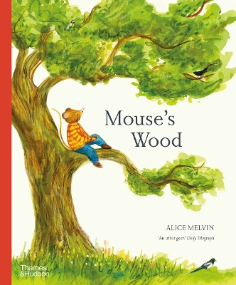Mouse's Wood: A Year in Nature by Alice Melvin