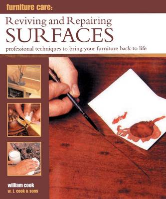 Furniture Care: Reviving and Repairing Surfaces book