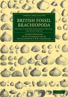 British Fossil Brachiopoda book