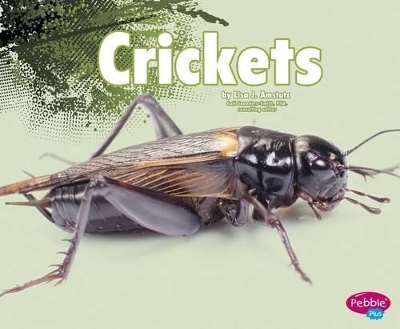 Crickets book