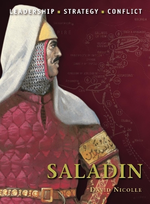 Saladin book