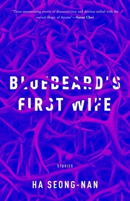 Bluebeard's First Wife book