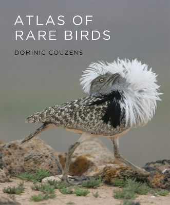 Atlas of Rare Birds book