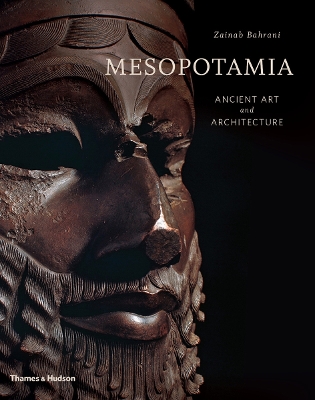 Mesopotamia book