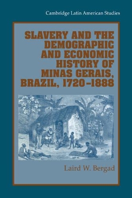 Slavery and the Demographic and Economic History of Minas Gerais, Brazil, 1720-1888 book