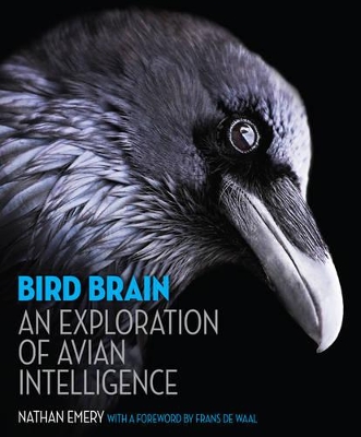 Bird Brain by Nathan Emery
