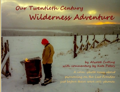 Our Twentieth Century Wilderness Adventure book