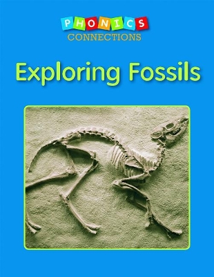 Exploring Fossils book