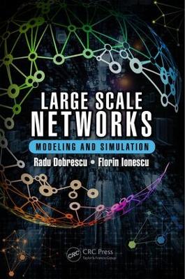 Large Scale Networks by Radu Dobrescu