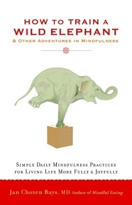 How To Train A Wild Elephant book