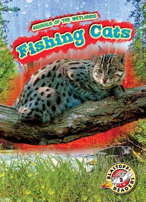 Fishing Cats book