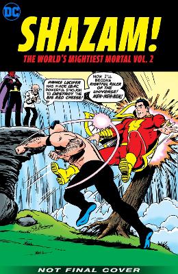Shazam! The World's Mightiest Mortal Volume 2 book