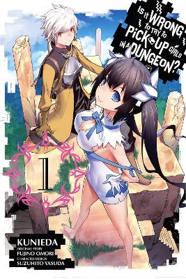 Is it Wrong to Try to Pick Up Girls in A Dungeon? book