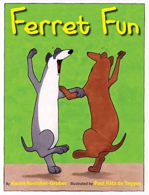 Ferret Fun book