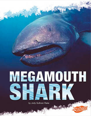 Megamouth Shark book