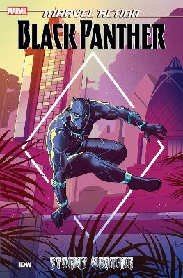 Marvel Action: Black Panther: Stormy Weather (Book One) book