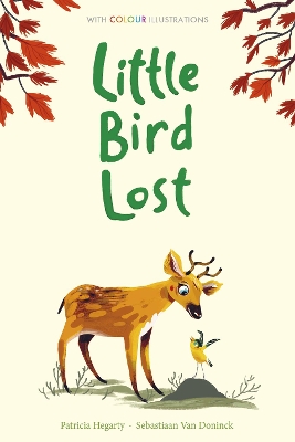 Little Bird Lost book