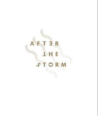 After the Storm book