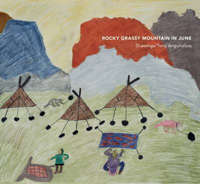 Rocky Grassy Mountain in June book