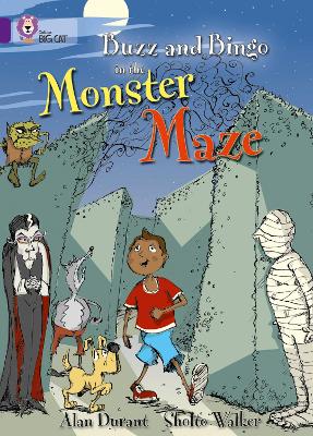 Buzz and Bingo in the Monster Maze by Alan Durant