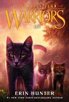 Warriors: A Starless Clan #2: Sky book