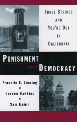 Punishment and Democracy book