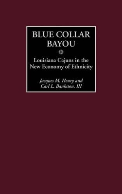 Blue Collar Bayou book