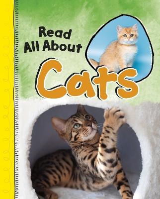 Read All About Cats by Jaclyn Jaycox