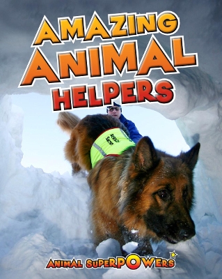 Amazing Animal Helpers by John Townsend