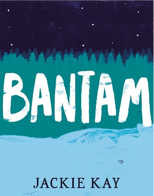 Bantam book