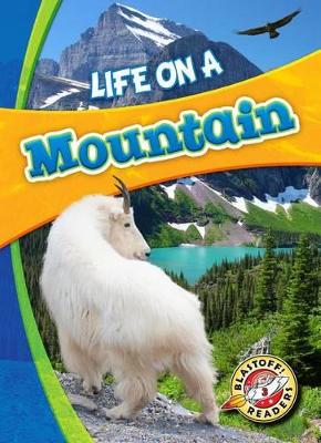 Life on a Mountain book