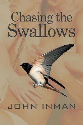 Chasing the Swallows book