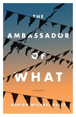 Ambassador of What: Stories book