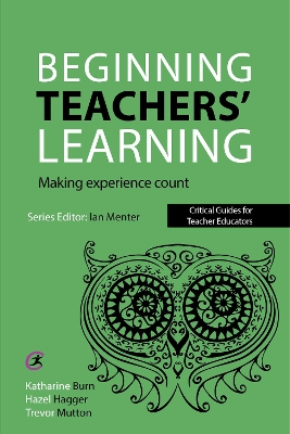 Beginning Teachers' Learning book