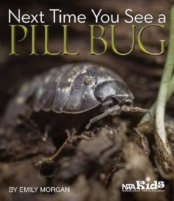 Next Time You See a Pill Bug by Emily Morgan