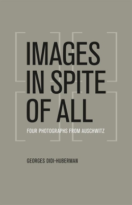 Images in Spite of All book
