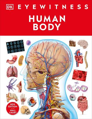 Human Body book