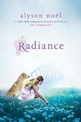 Radiance book