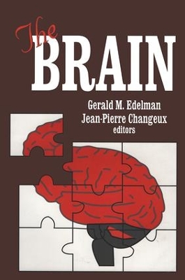 Brain book