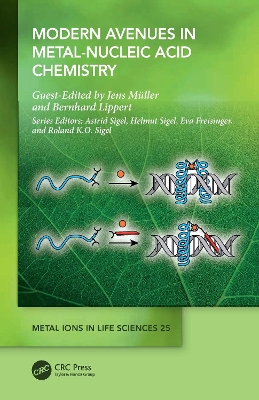 Modern Avenues in Metal-Nucleic Acid Chemistry by Jens Müller